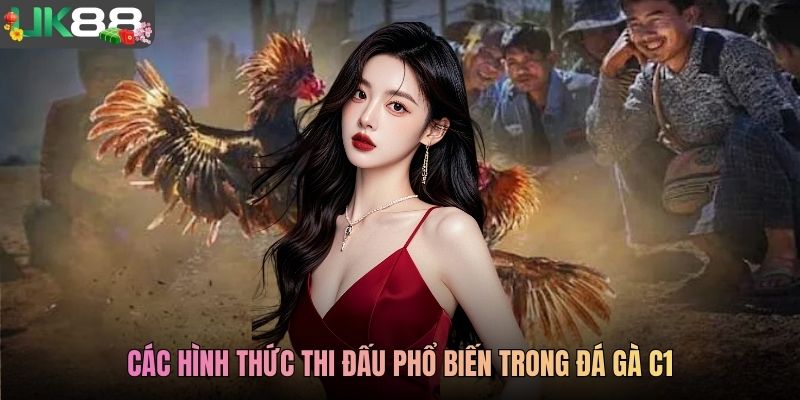 Các hình thức thi đấu phổ biến trong đá gà C1