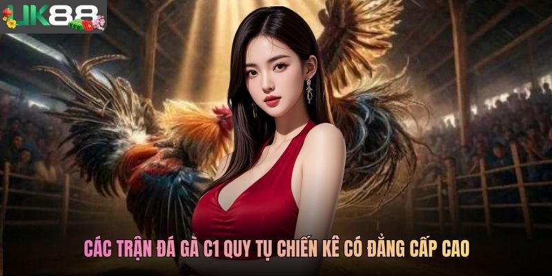 Các trận đá gà C1 quy tụ chiến kê có đẳng cấp cao