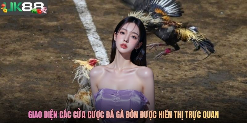 Giao diện các cửa cược đá gà đòn được hiển thị trực quan
