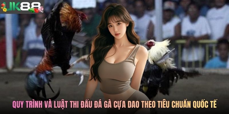 Quy trình và luật thi đấu đá gà cựa dao theo tiêu chuẩn quốc tế