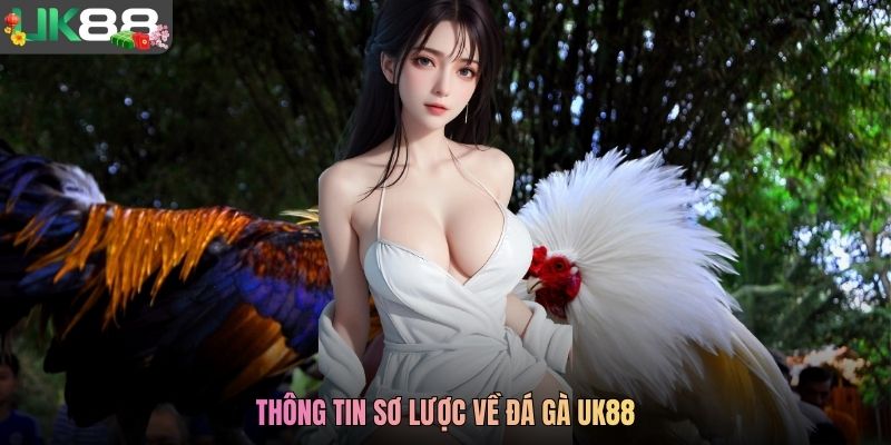 Thông tin sơ lược về đá gà UK88
