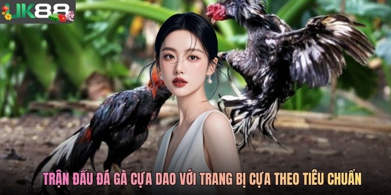 Trận đấu đá gà cựa dao với trang bị cựa theo tiêu chuẩn